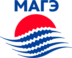 Zoom Logo